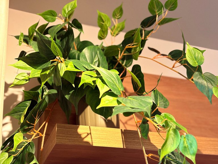 Studio em Moema - Brera59