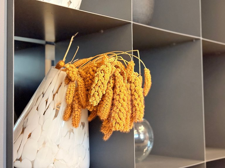 Studio em Moema - Brera86